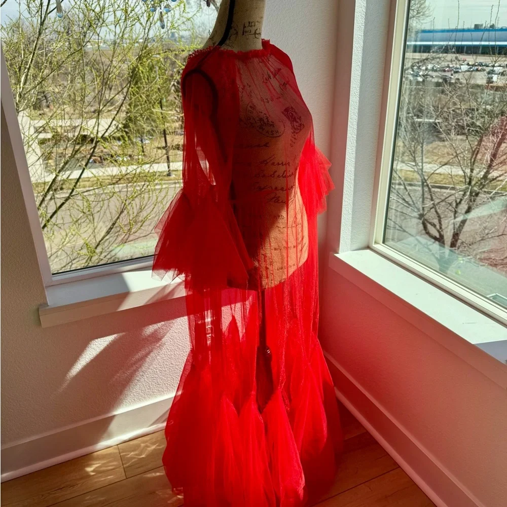Red Sheer Tulle Gown with Dramatic Sleeves - Picture 3 of 6